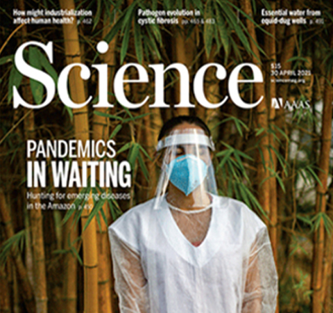 【Science分享】天津大学张雁教授团队揭示噬菌体基因组中二氨基嘌呤取代腺嘌呤