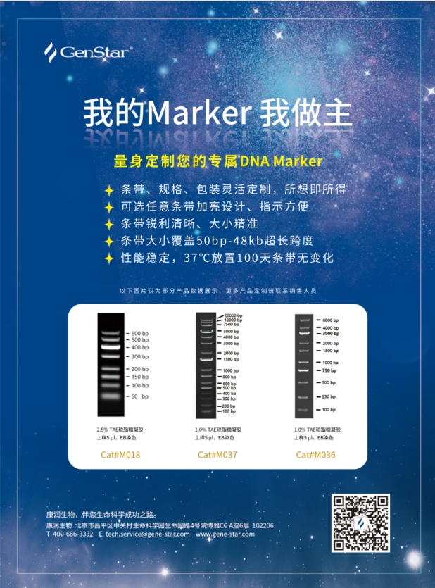 DNA Marker定制