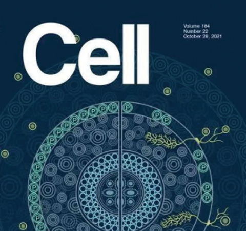 祝贺王二涛老师团队又一佳作荣登Cell期刊！