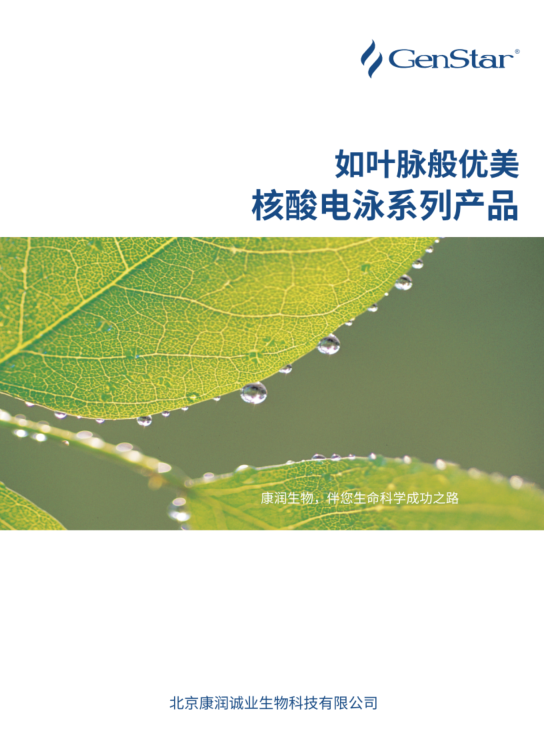 核酸电泳系列产品
