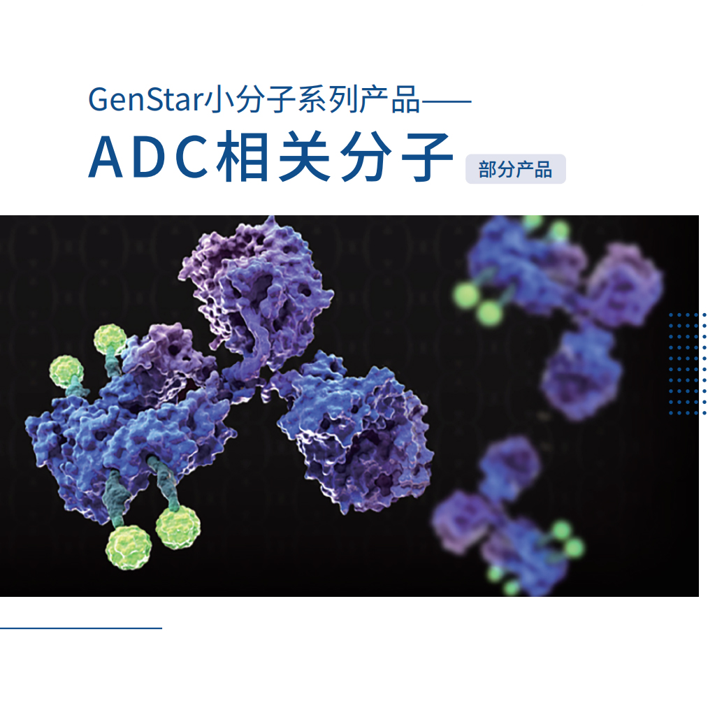 小分子系列-ADC相关分子