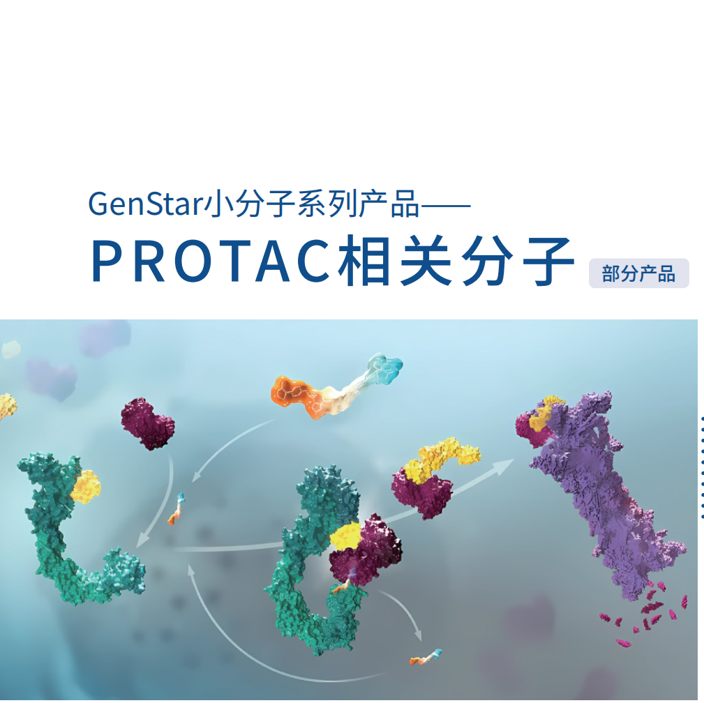 小分子系列-PROTAC相关分子