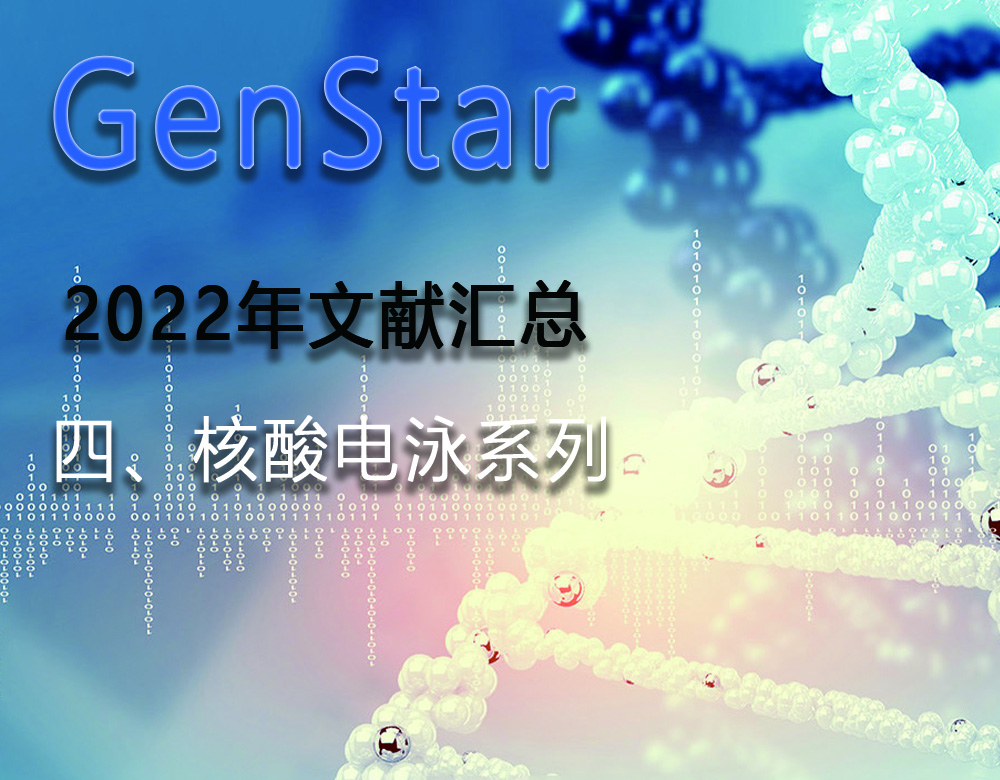 GenStar 2022年文献汇总（四、核酸电泳系列）
